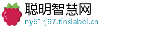 聪明智慧网